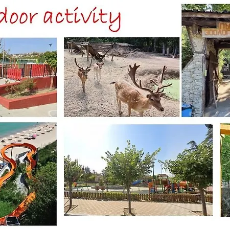 Photinia Byala (Varna)