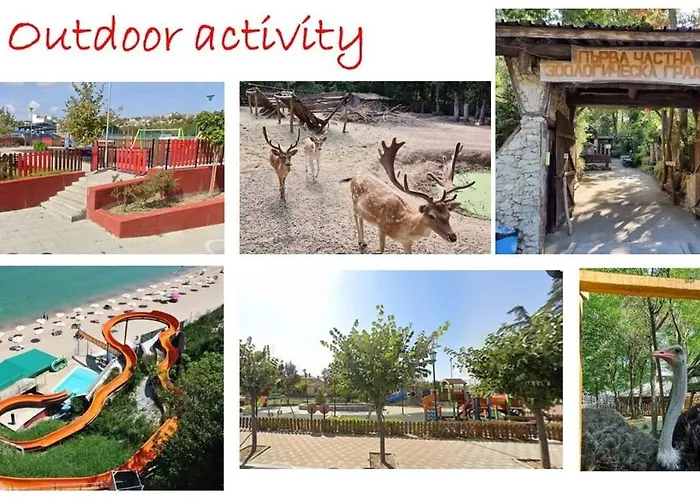 Photinia Byala (Varna)