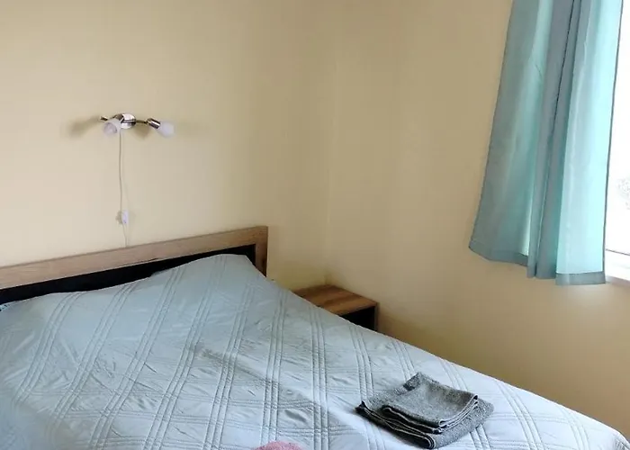 Photinia * Byala (Varna)